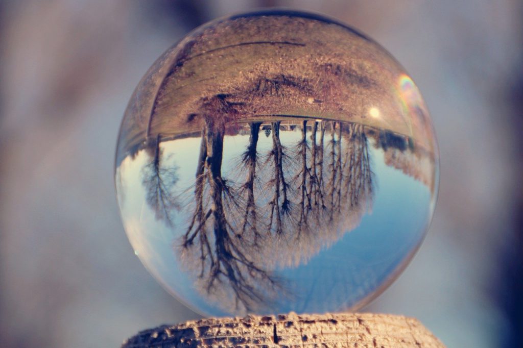 glass ball, trees, row of trees